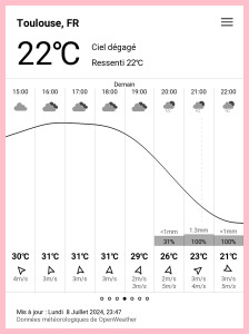 Hourly forecast screenshot