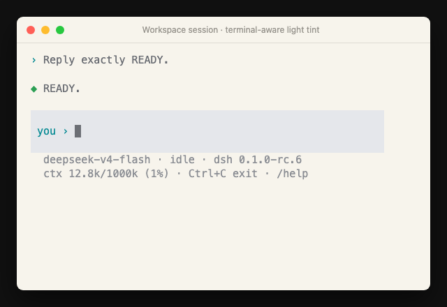 dsh-tui workspace session showing permission and context usage