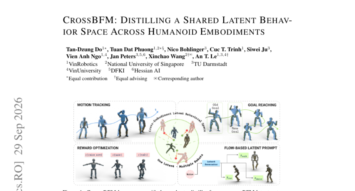 CrossBFM: Distilling a Shared Latent Behavior Space Across Humanoid Embodiments