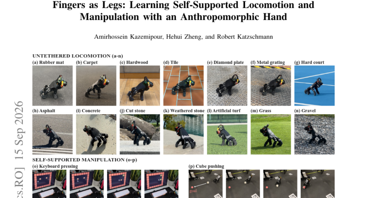 Fingers as Legs: Learning Self-Supported Locomotion and Manipulation with an Anthropomorphic Hand
