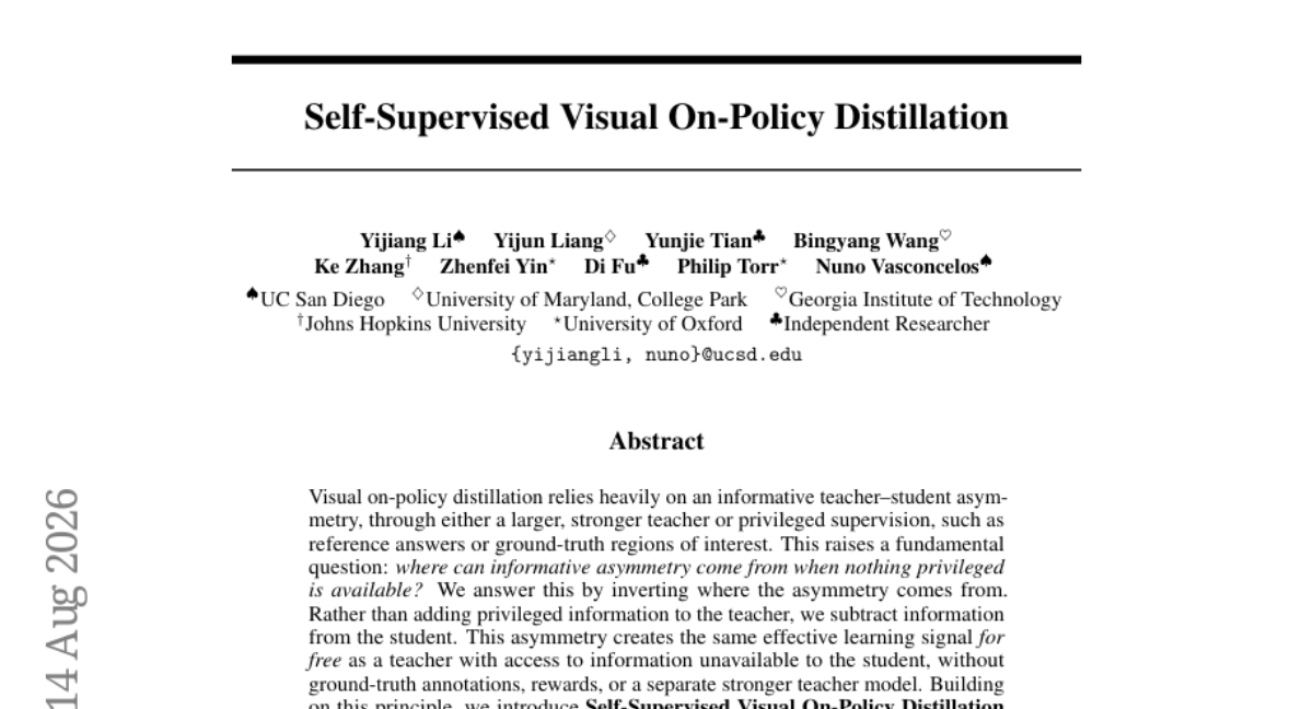 Self-Supervised Visual On-Policy Distillation