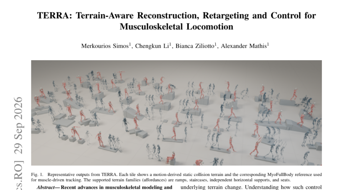 TERRA: Terrain-Aware Reconstruction, Retargeting and Control for Musculoskeletal Locomotion