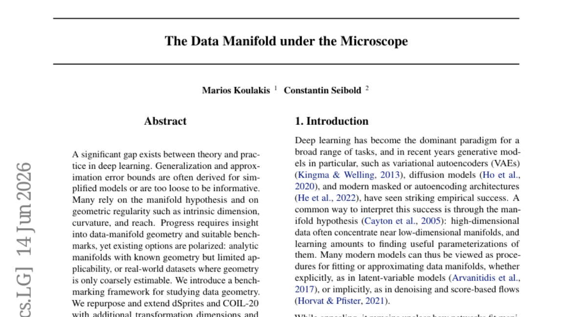 The Data Manifold under the Microscope