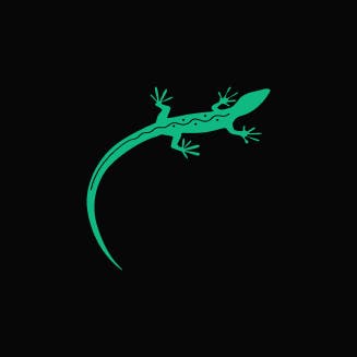 Lizard Studio