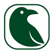 CrawlRaven MCP