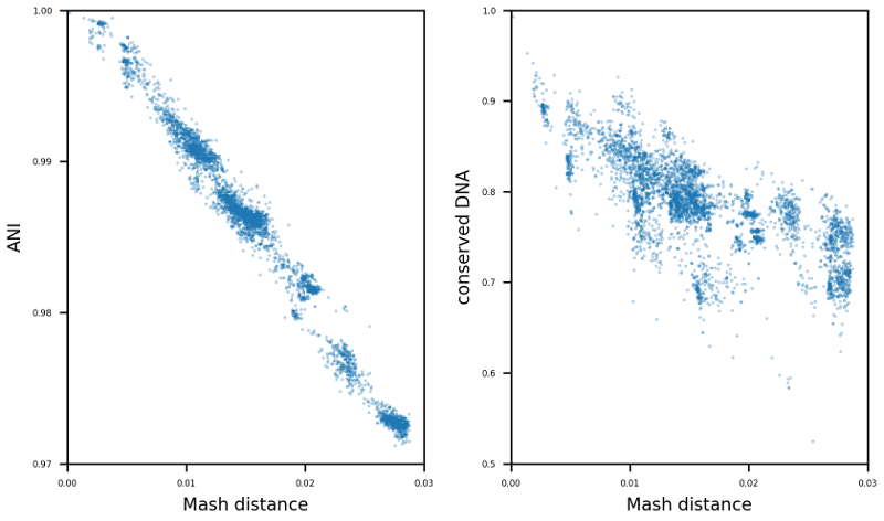 Mash D vs. ANI / conDNA