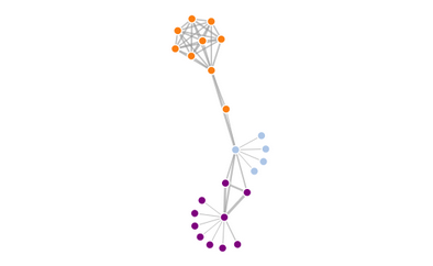 A working Network example