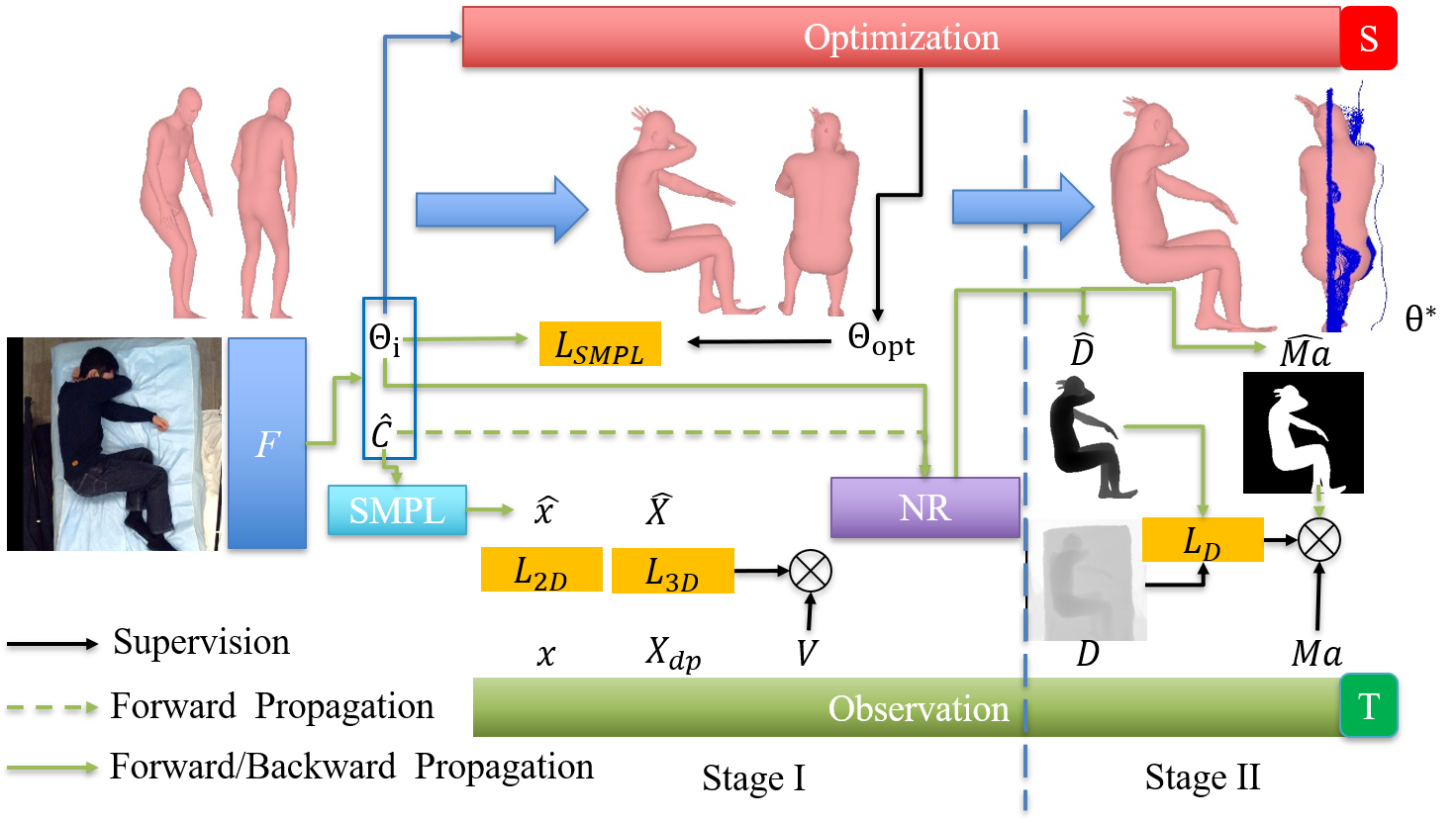 HW-HuP model