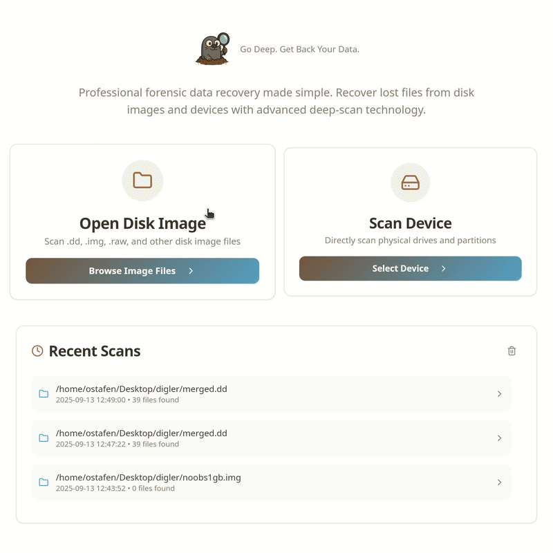 ostafen/digler cover