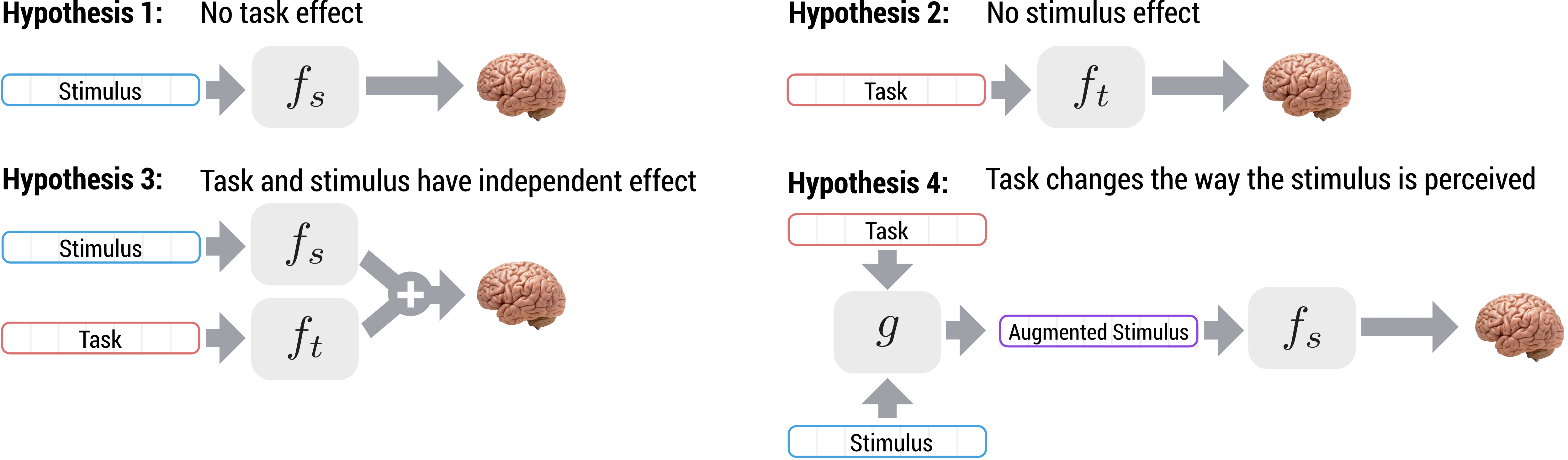 hypotheses