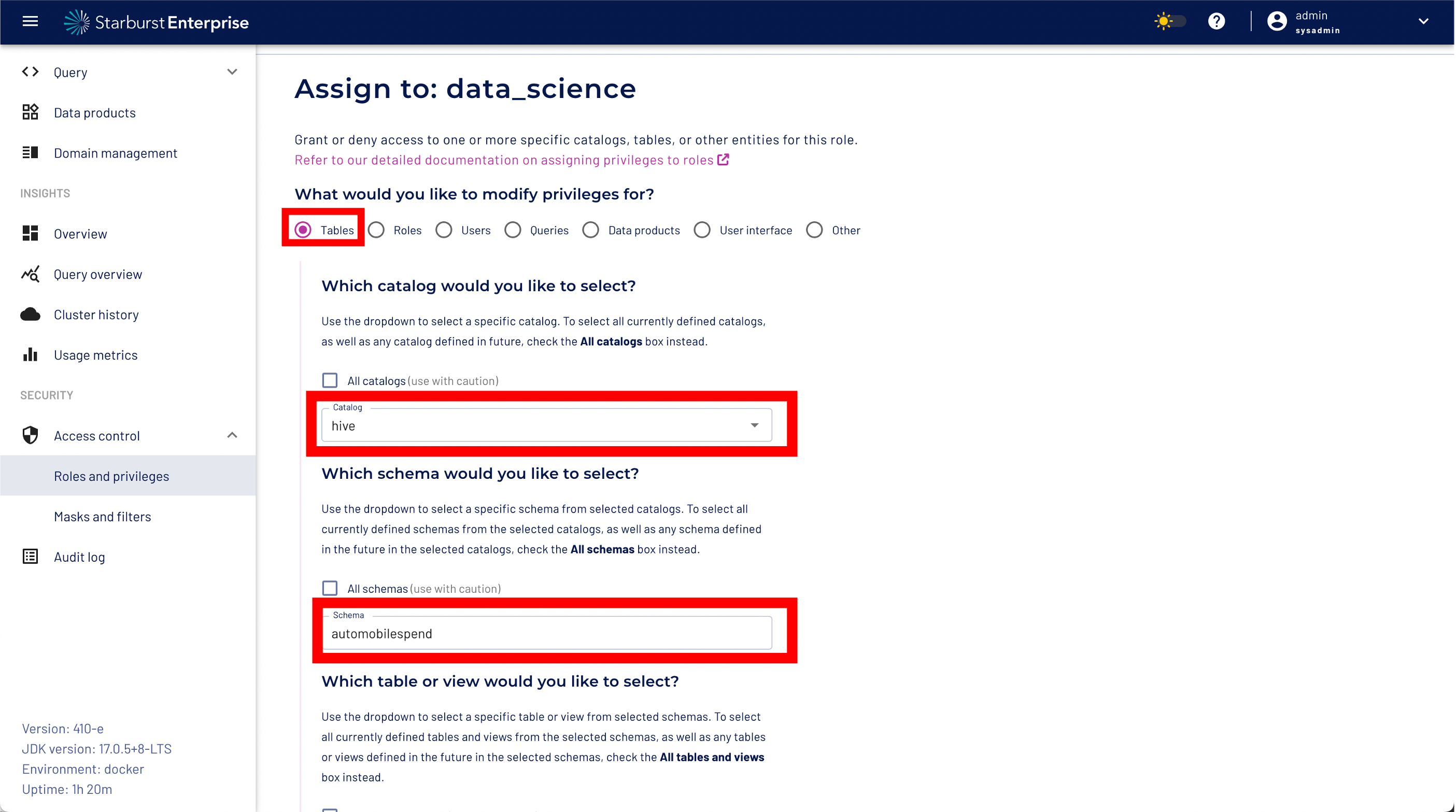 Add fine grained dataset privileges to the data_science role