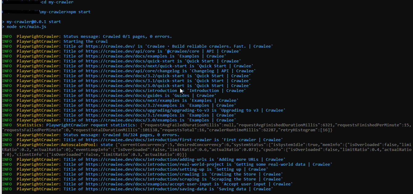 npm start command