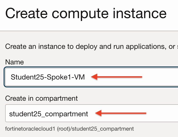 Select Spoke VM Image and Shape