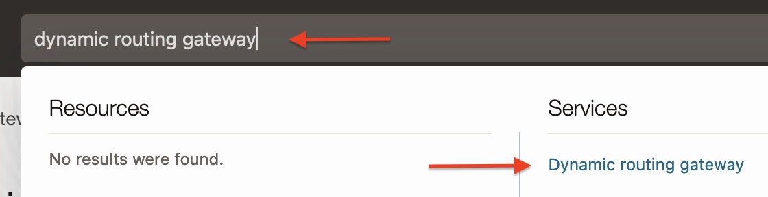Search Dynamic Routing Gateway