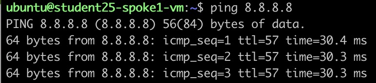 Ping Google DNS from Spoke VM