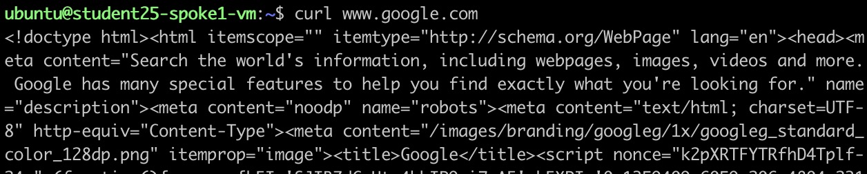 Test Internet Access with Curl