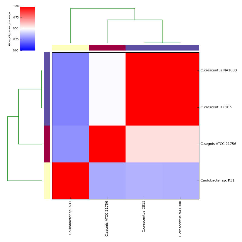 ANIm alignment coverage for Caulobacter test data