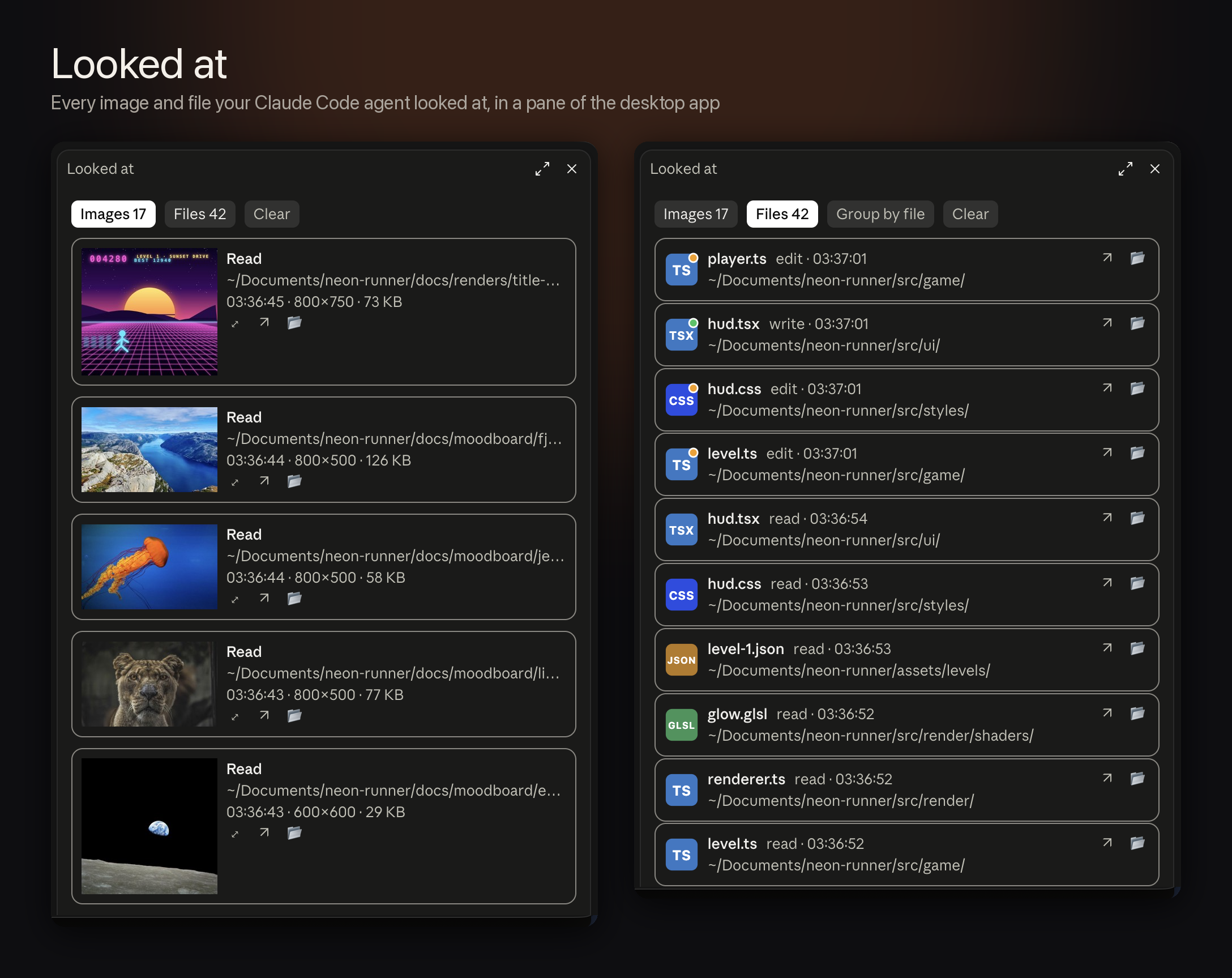 The Looked at pane: the Images tab and the Files tab