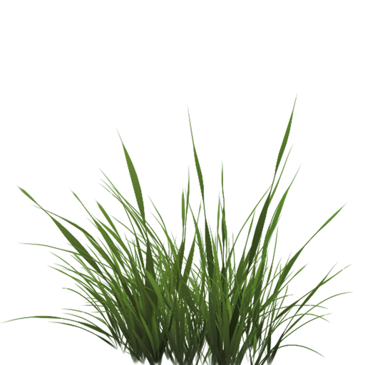 grass