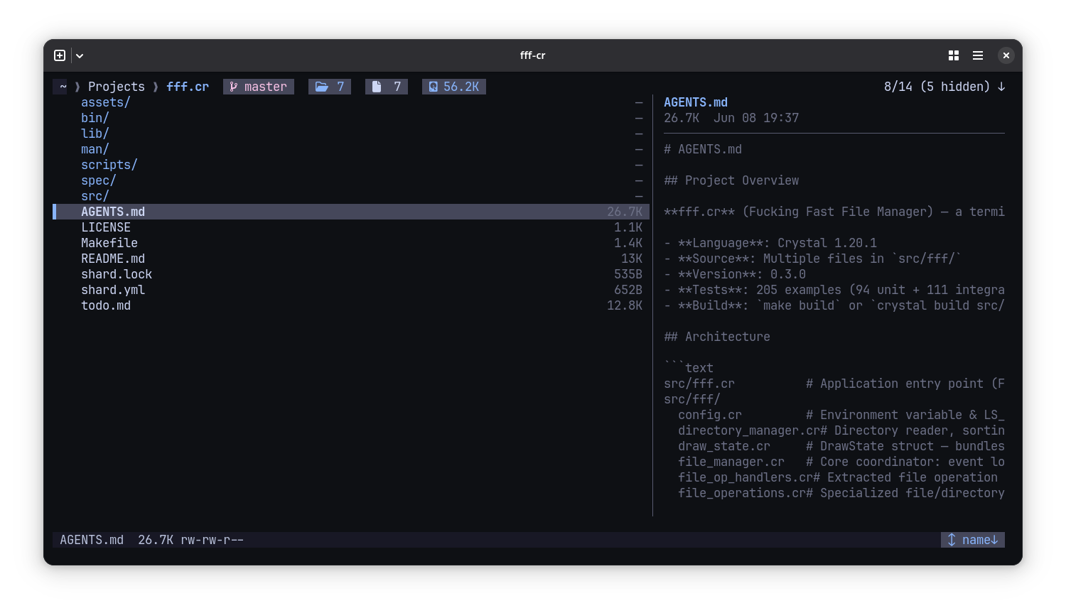 FFF Main Interface with Preview Panel