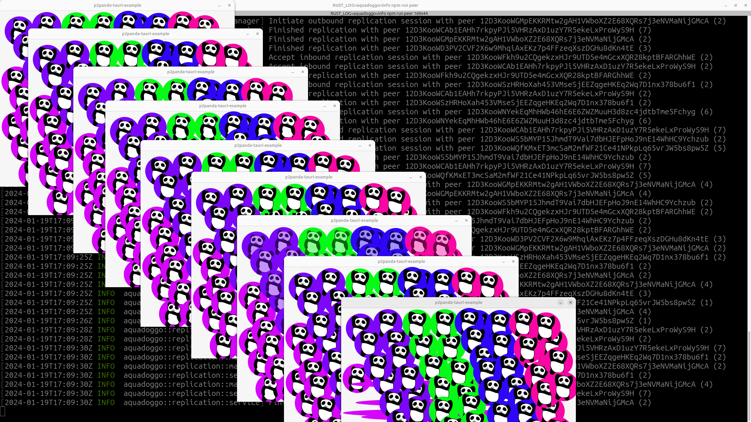 tauri example screenshot with many peers