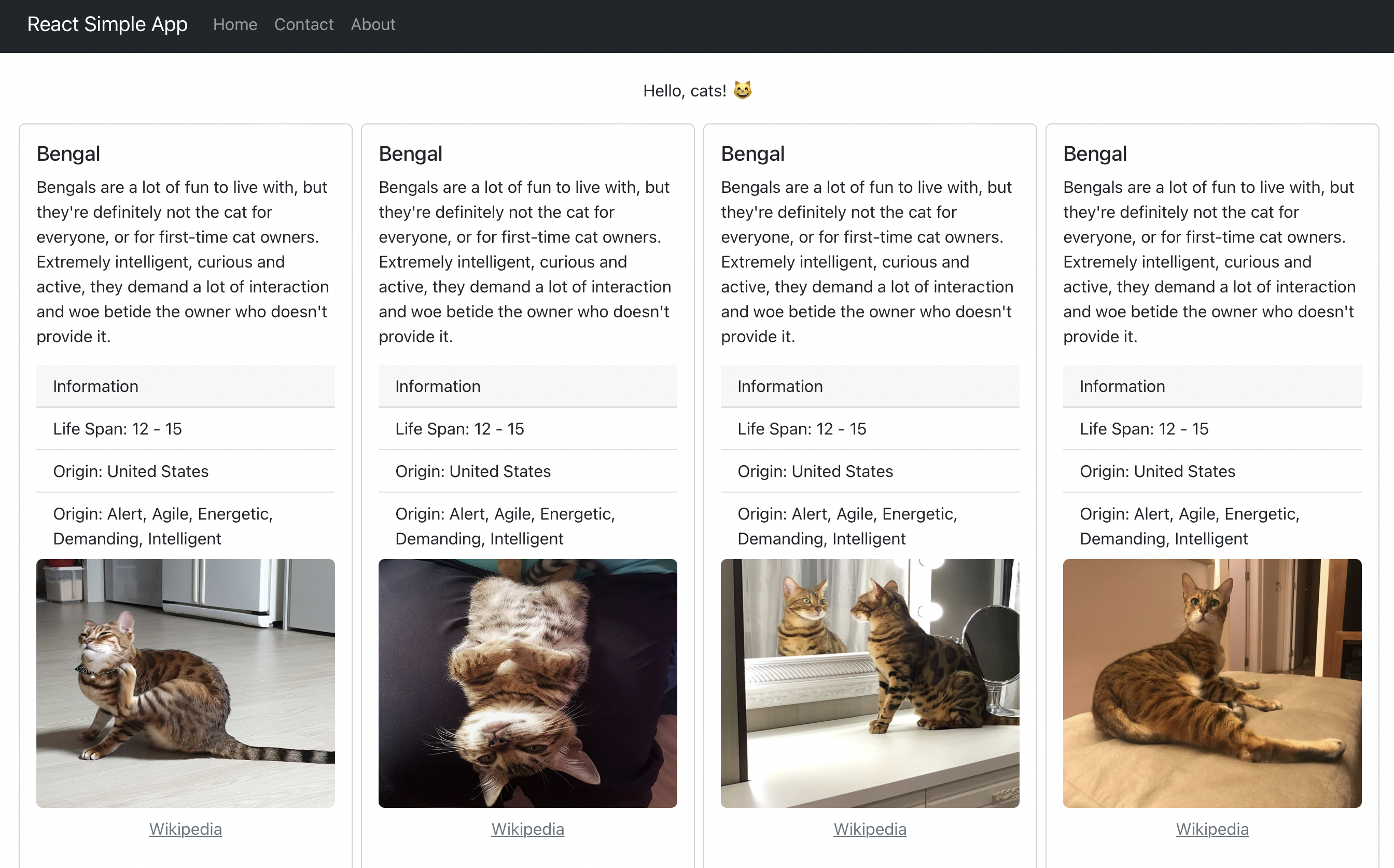 Cat API WebApp project - Homepage example