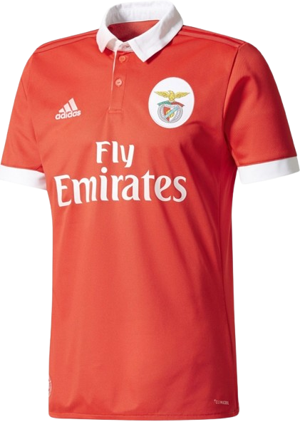 jersey miniature