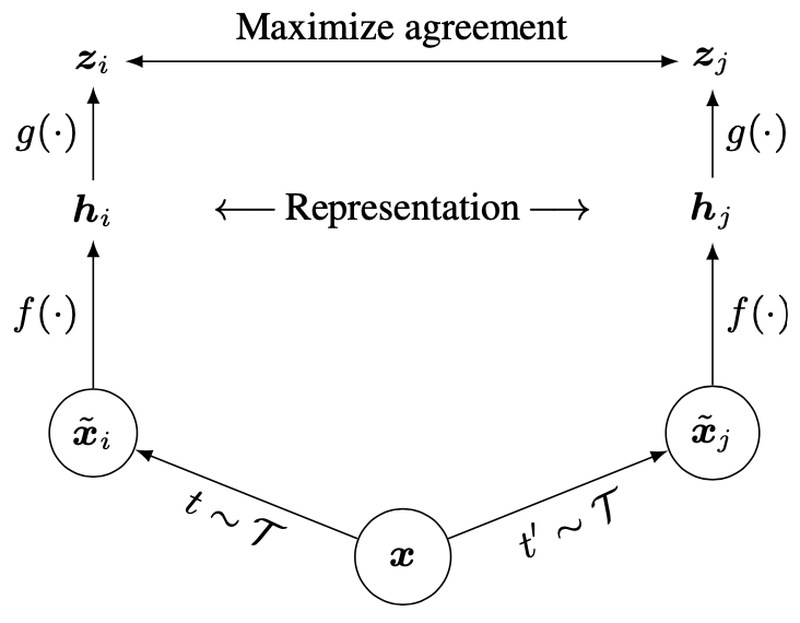 Network Architecture image from the paper