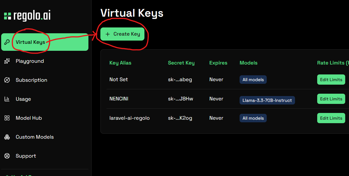 Regolo dashboard — API keys section