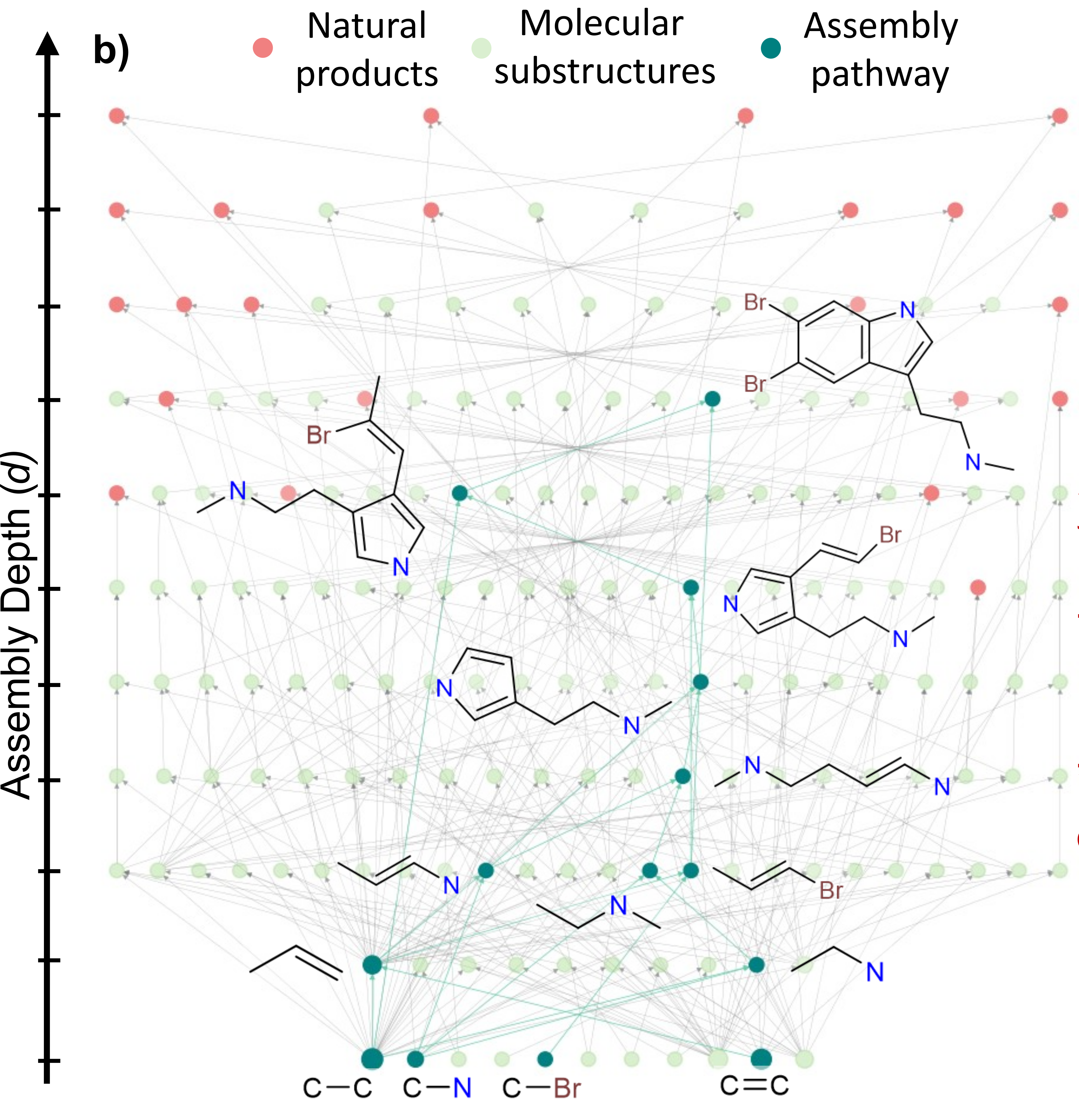 Molecular Spaces
