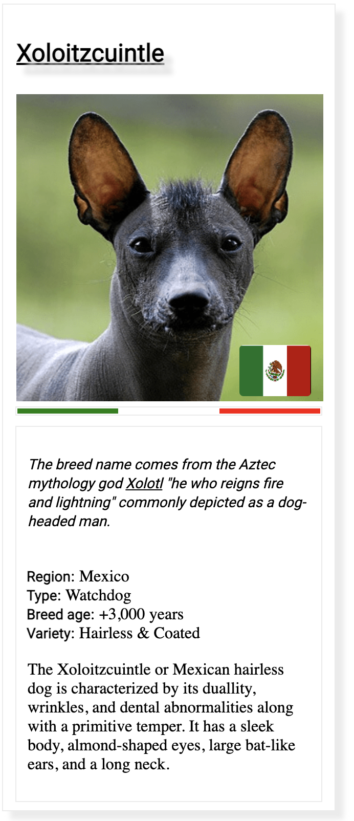 Xoloitzcuintle