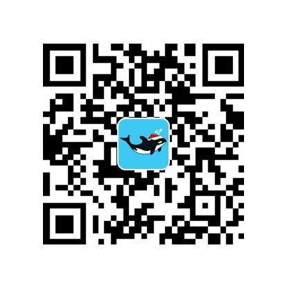 支付宝