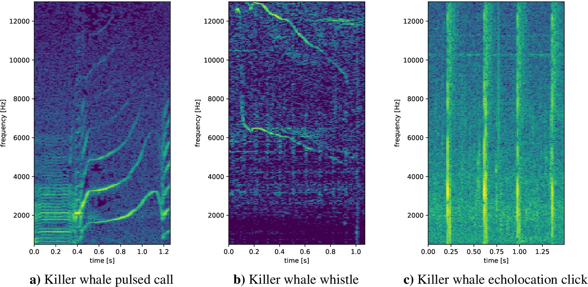 Spectrograms of three characteristic killer whale sounds