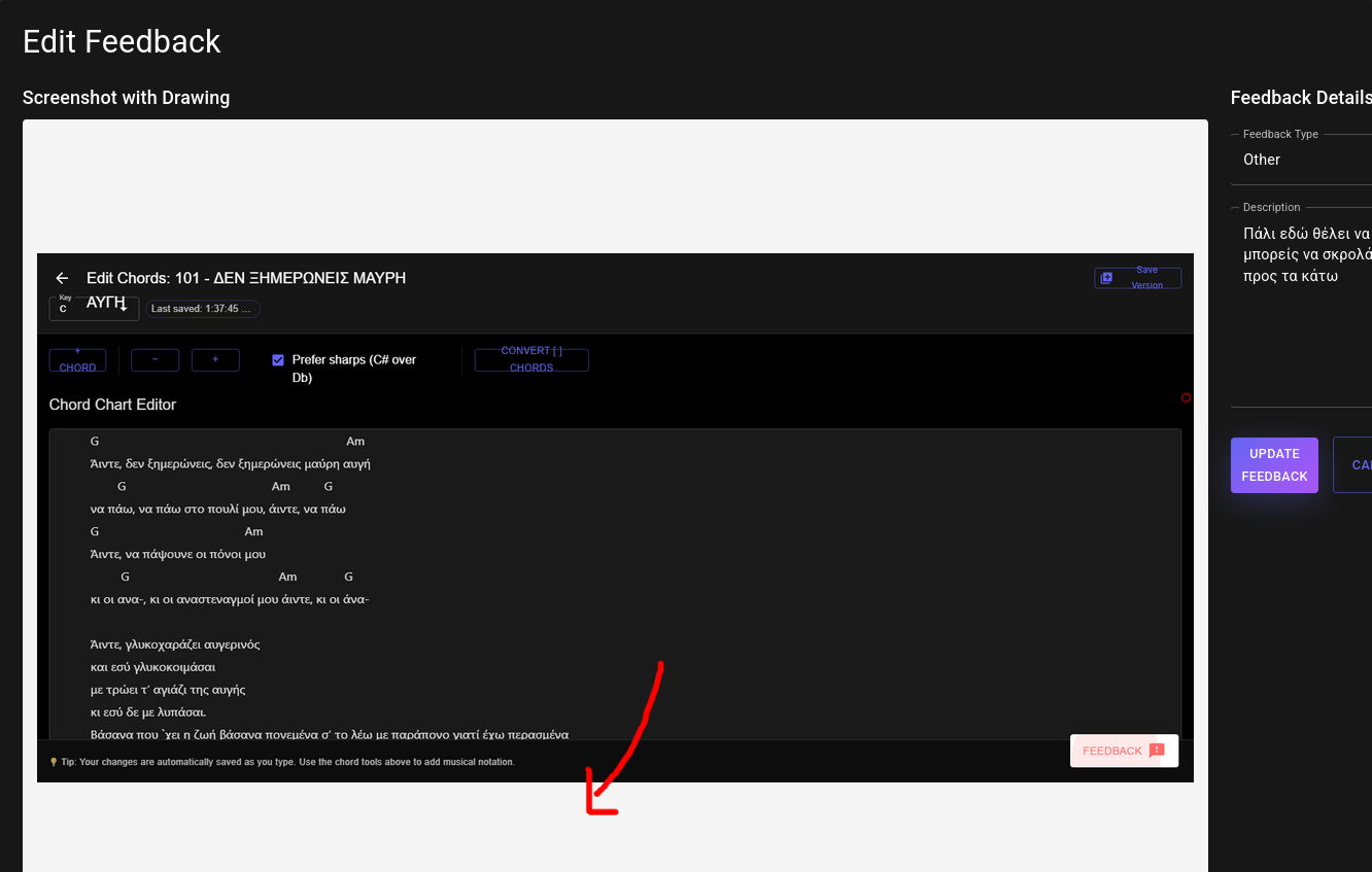 Feedback Submission Example