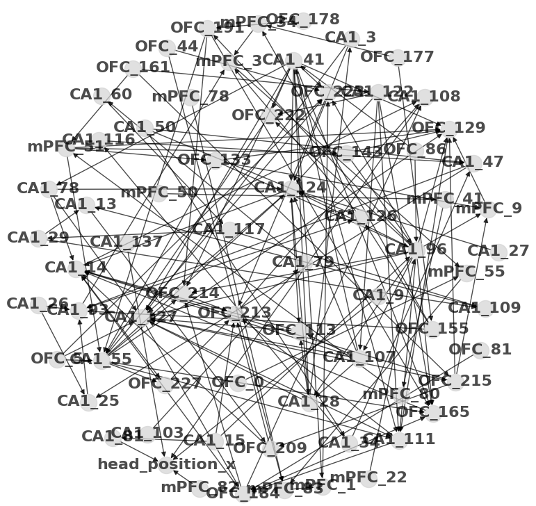 Rattus_GMN_Network