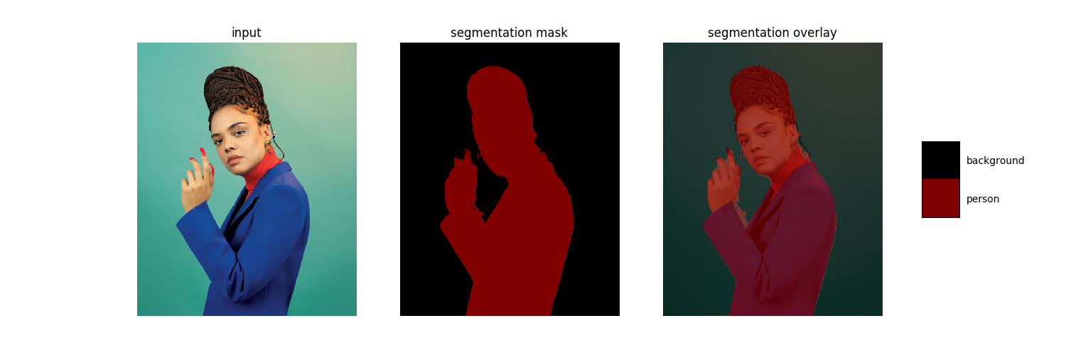 Segmentation result