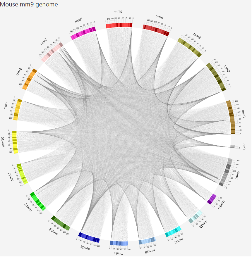 Circos Plot on MM9 genome