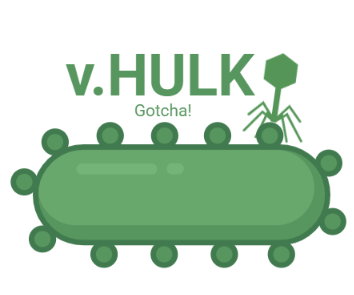 vHULK