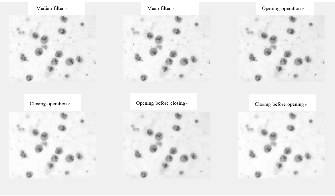 cells after filters