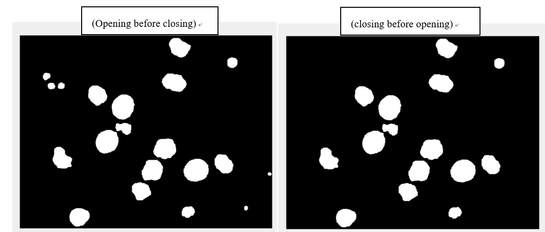 cells reversed in grayscale