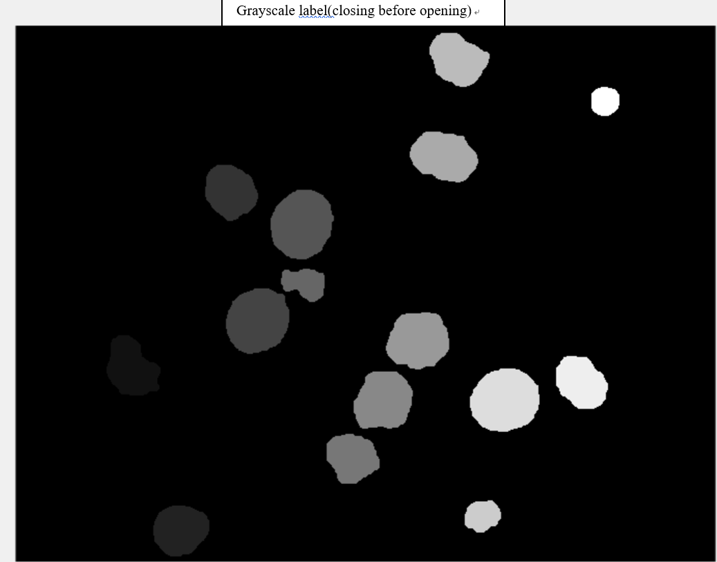 cells grayscale-labeled