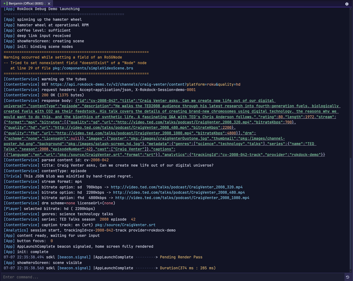Debug terminal with a highlighted, clickable JSON payload