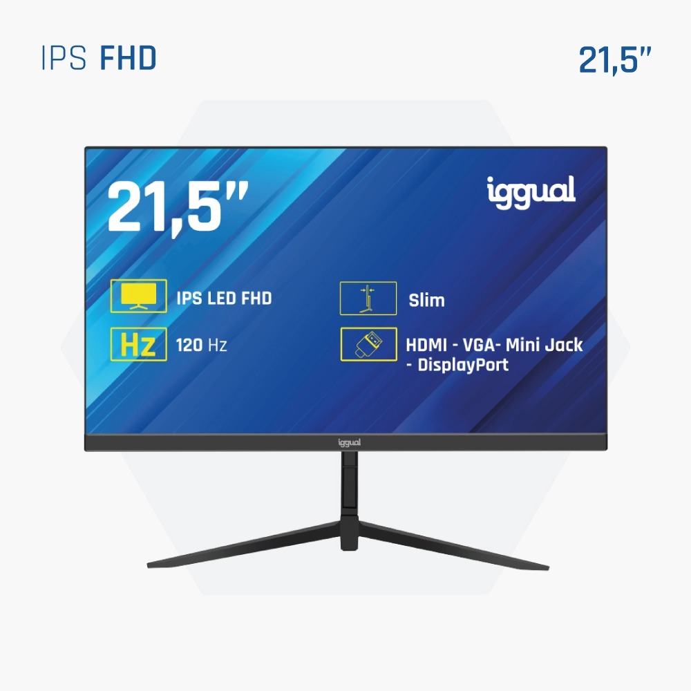 Monitor Iggual 21.5"