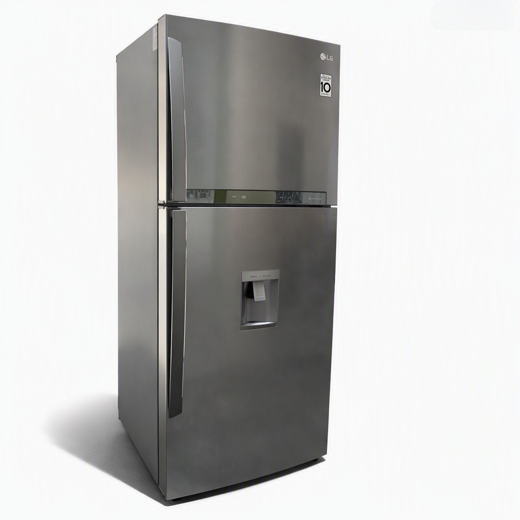 Refrigerador 19pies LG Smart Inverter