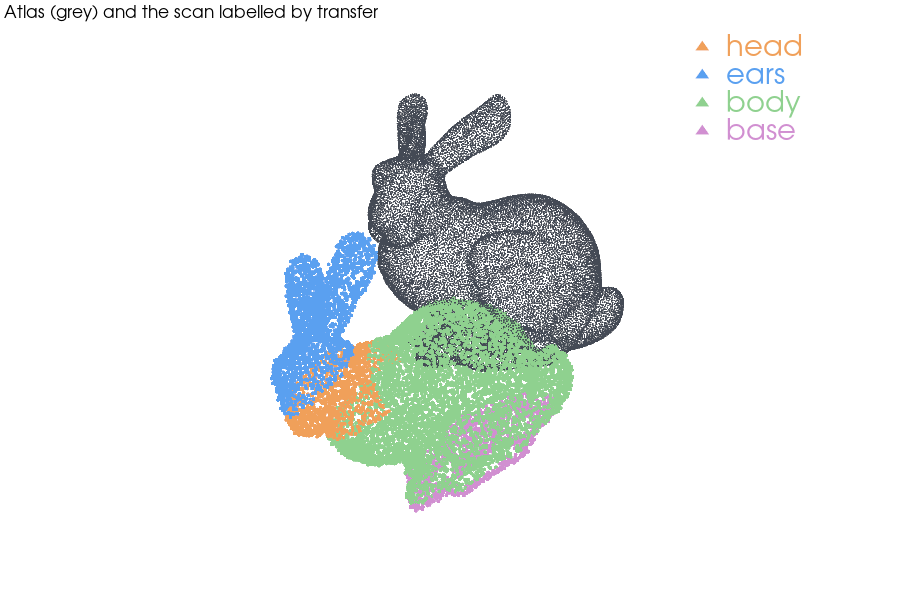 Bunny atlas in grey with the scan coloured by transferred labels