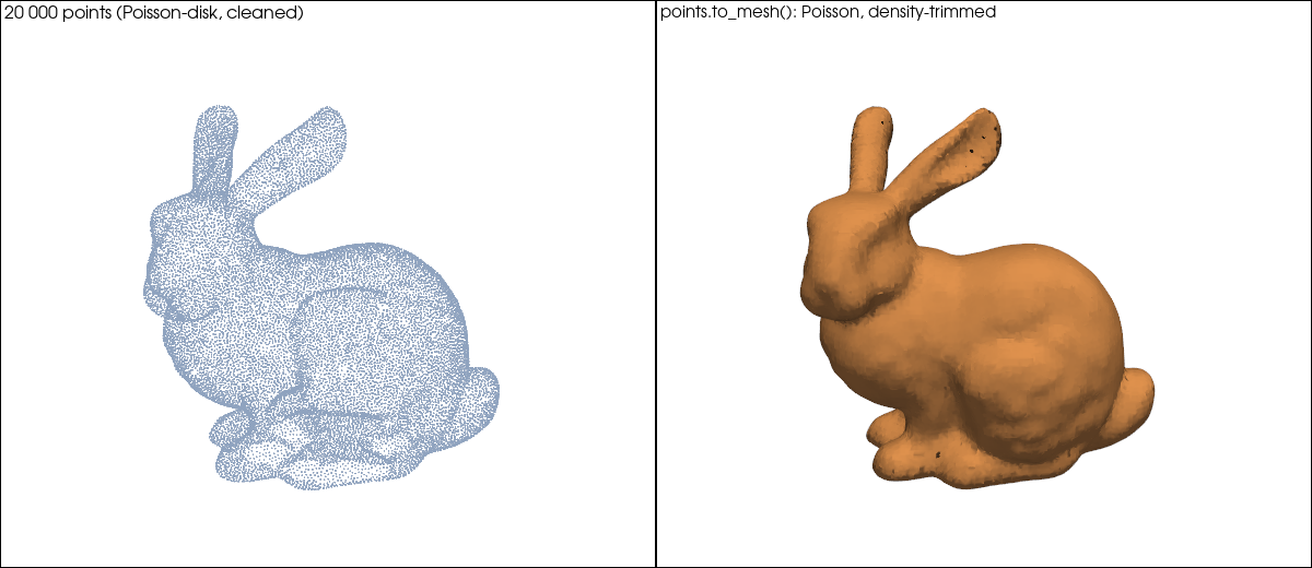 Bunny points and the Poisson surface