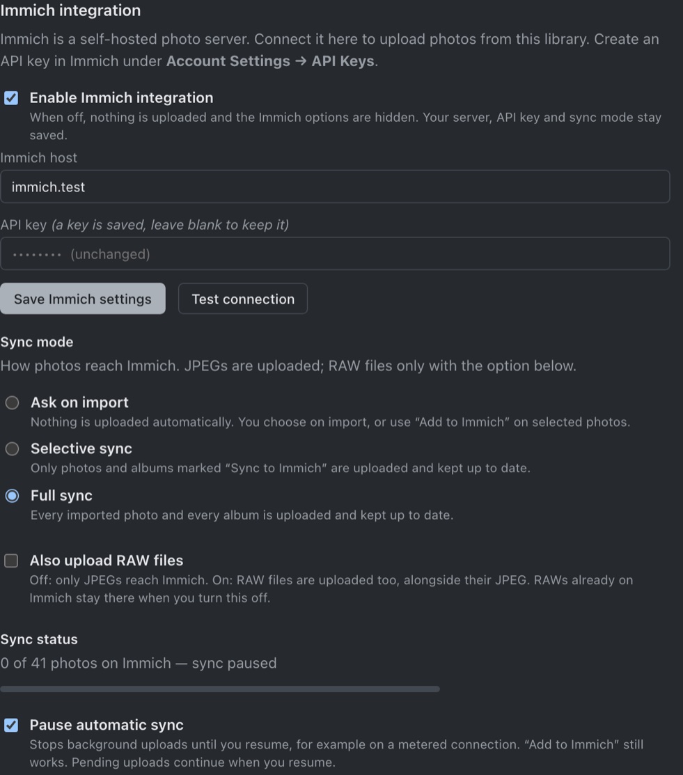 Immich sync modes