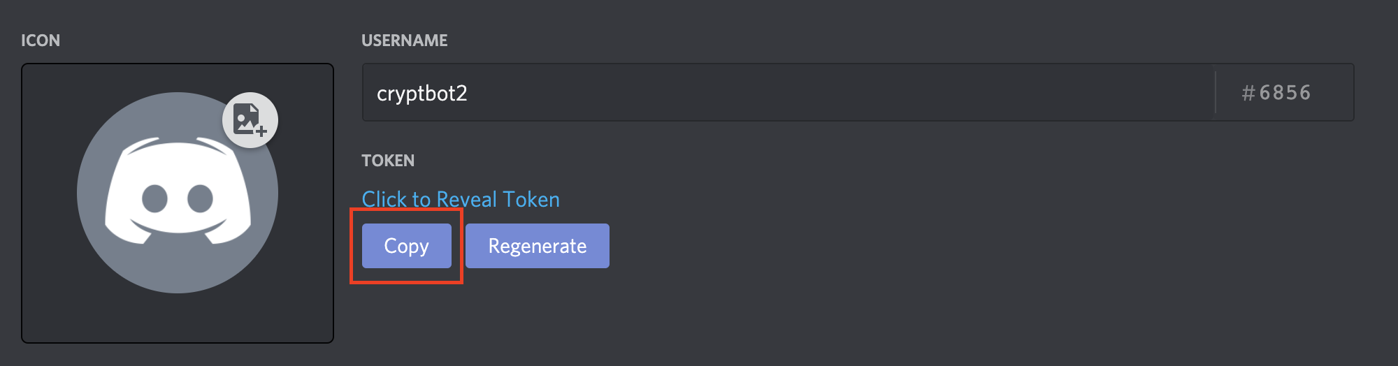 Discord bot token screenshot