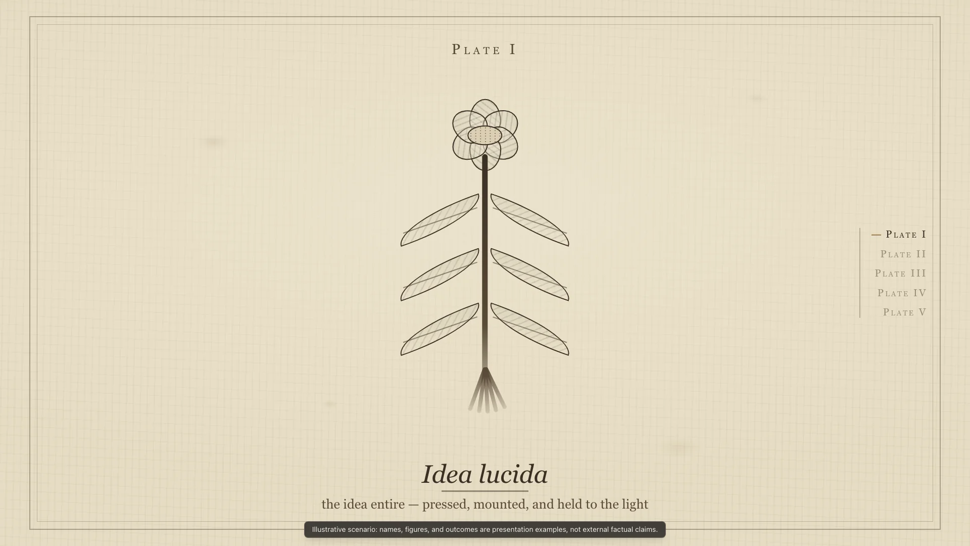 Botanical Specimen Plate — Claude Opus 4.8 — Anatomy of an Idea — Hero Final Frame