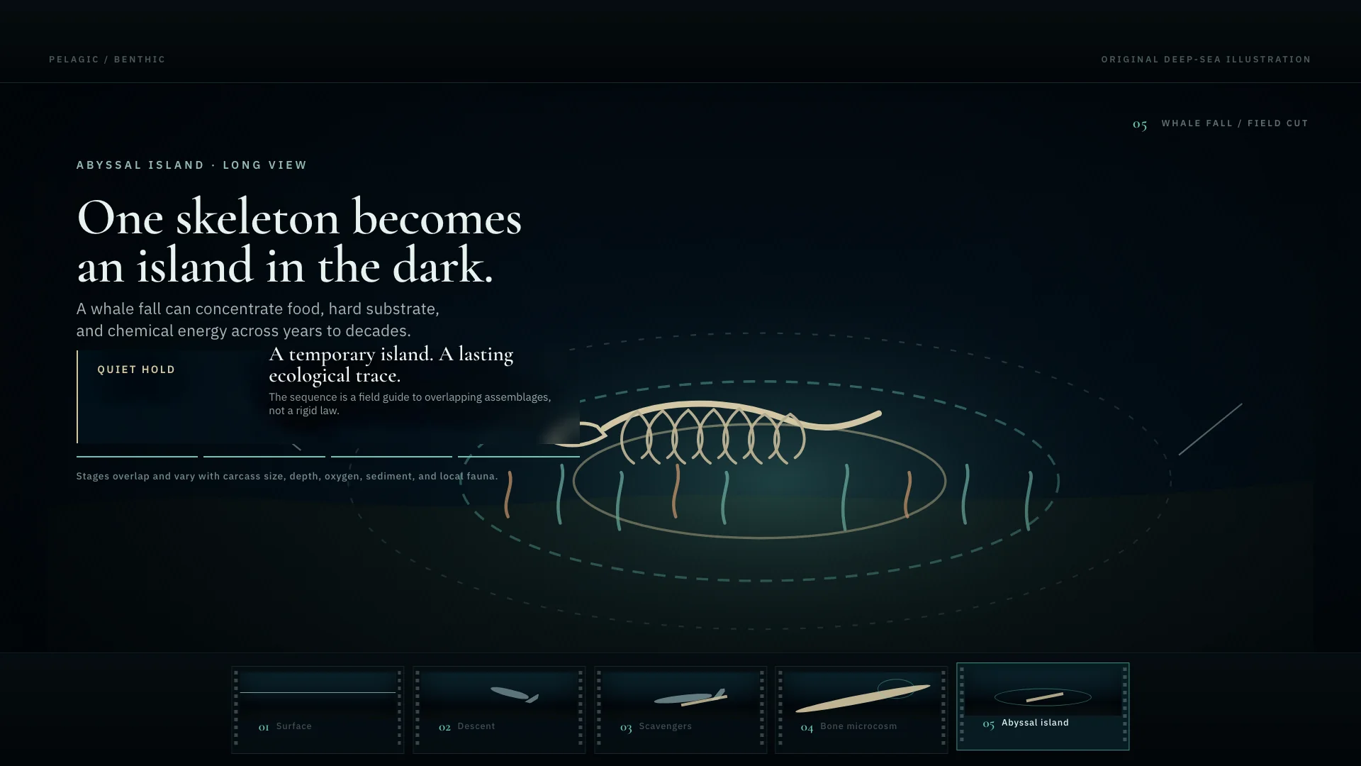 Widescreen Title Card — GPT 5.6 Sol — Whale Fall — Hero Final Frame